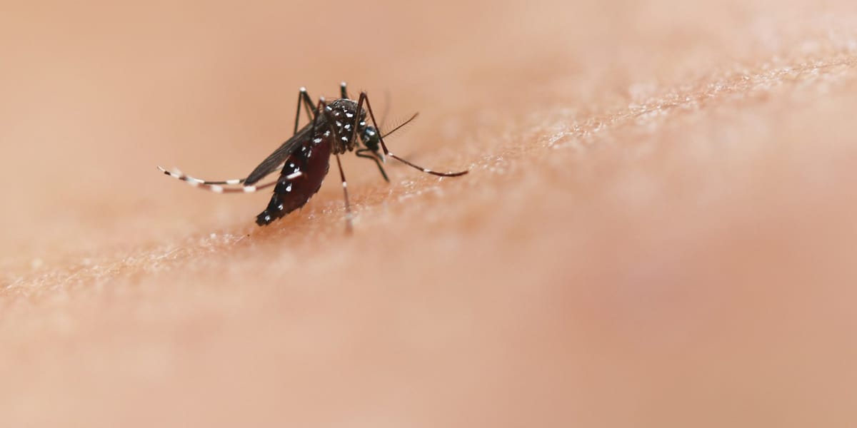 Malaria in Africa: Current Challenges and Solutions